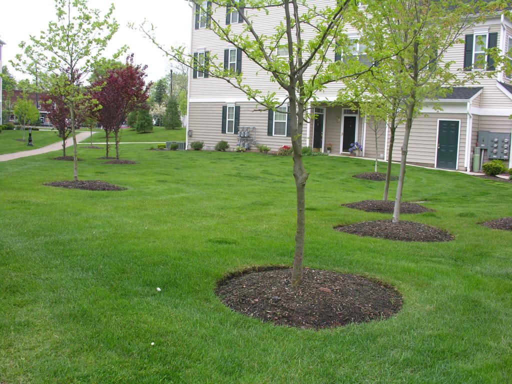 MLS #/Web ID: 2680446