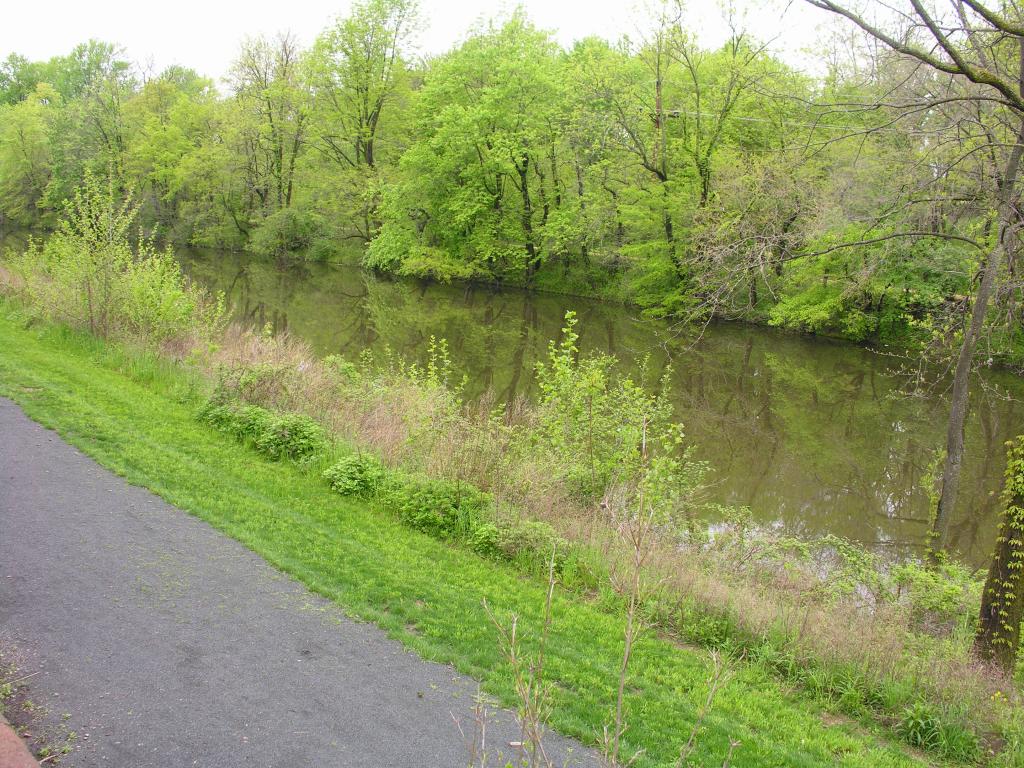 MLS #/Web ID: 2680446
