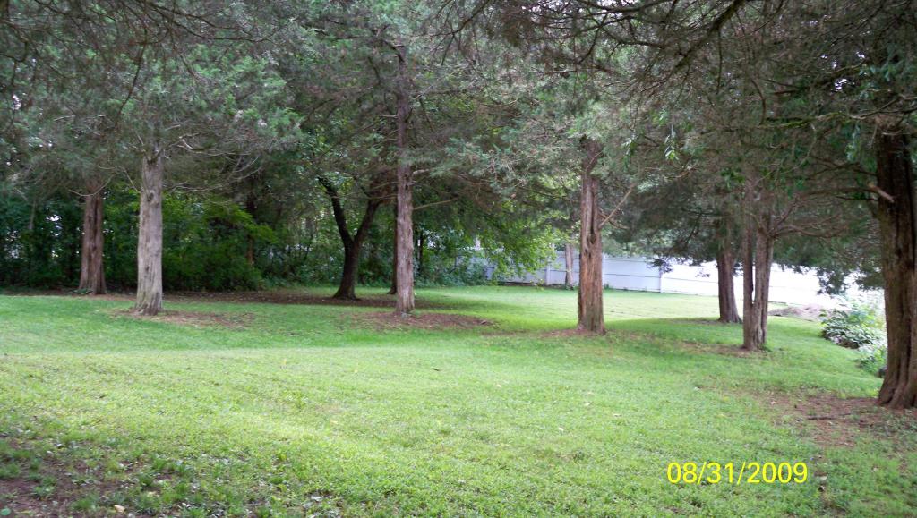 MLS #/Web ID: 2709946