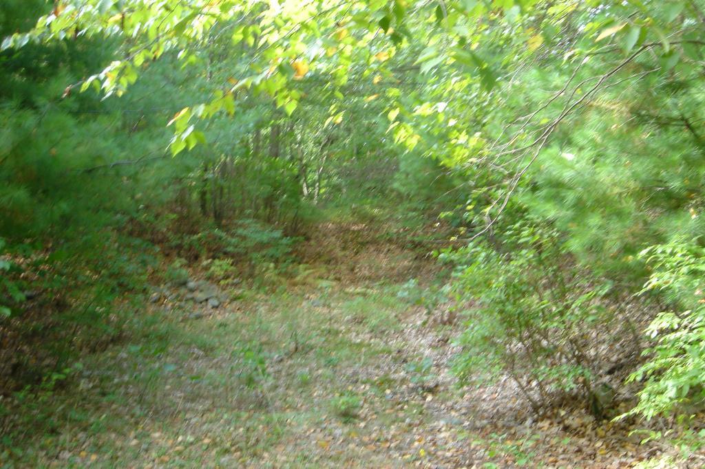 00 BERKSHIRE VALLEY RD