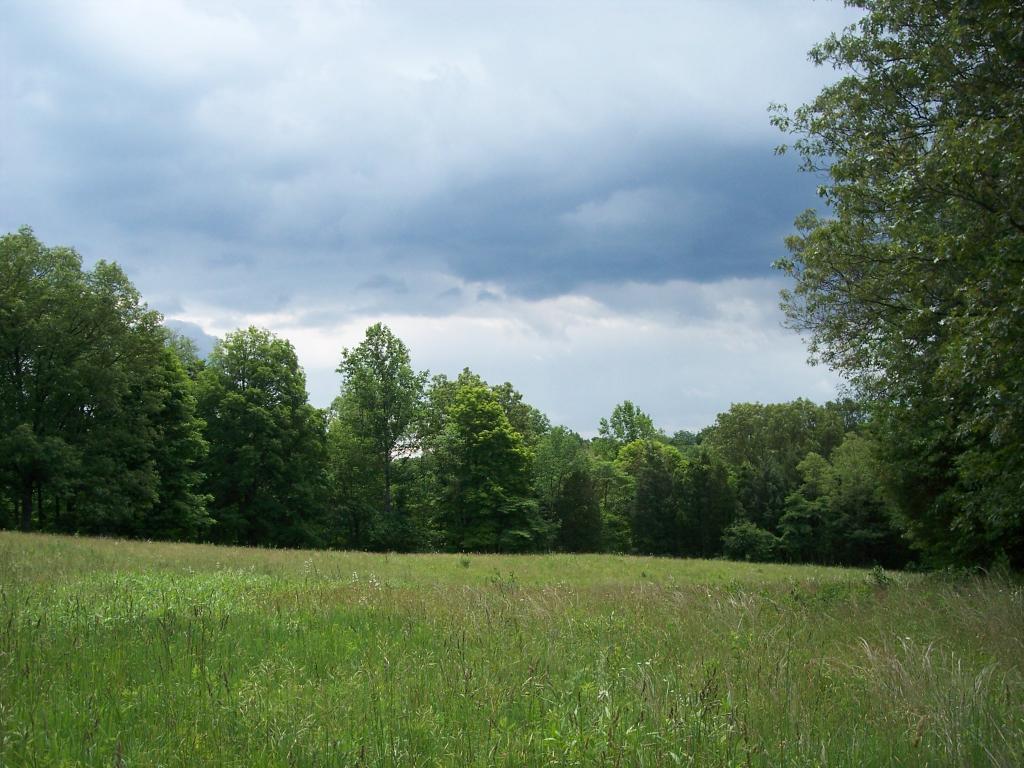 MLS #/Web ID: 2682847