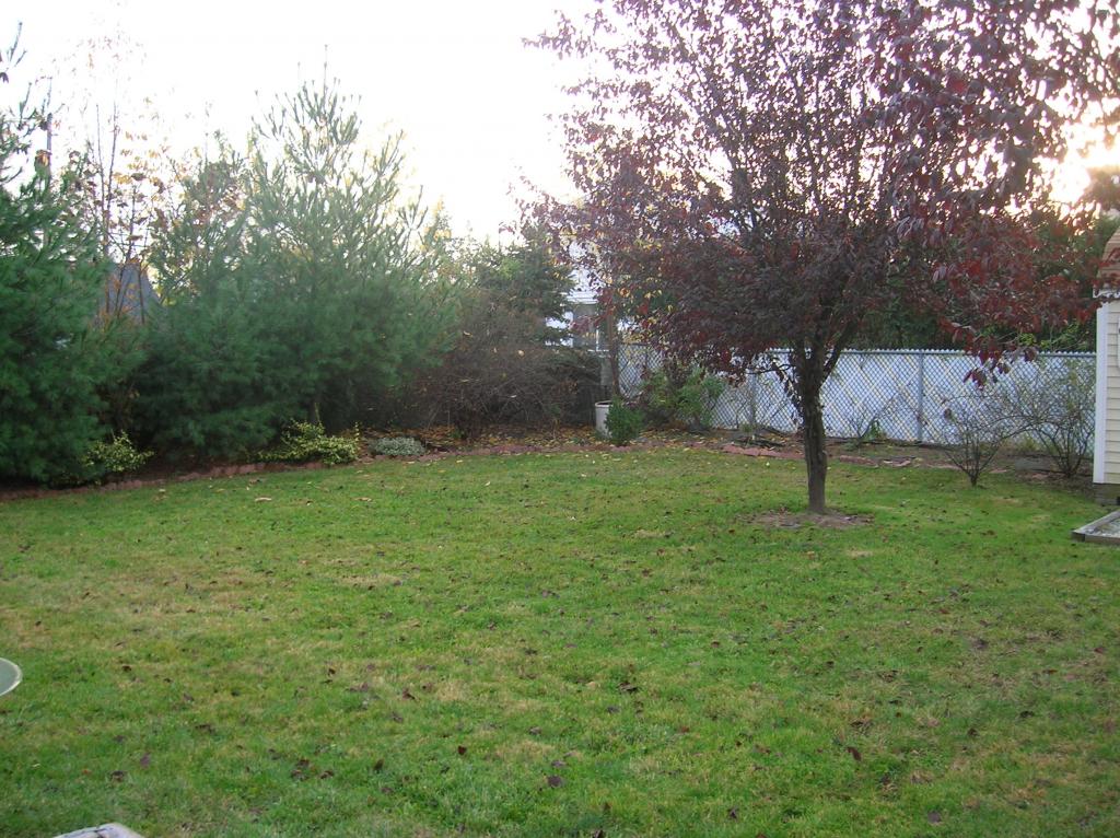 12-50 5TH ST