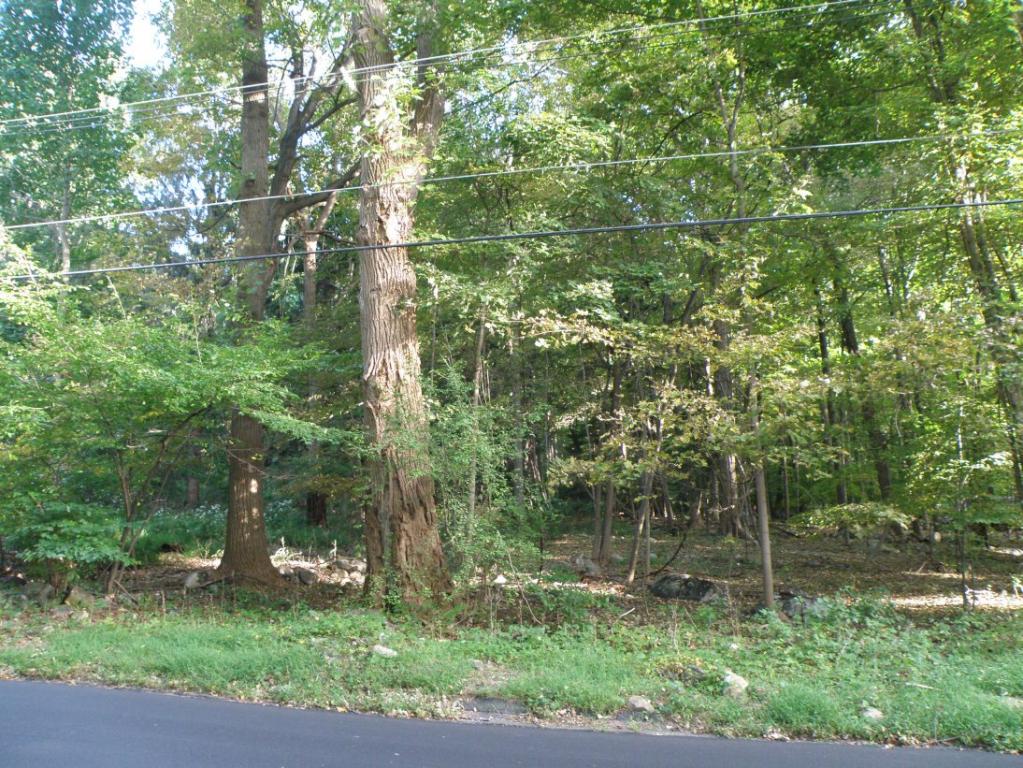316 MOUNTAIN LAKE RD