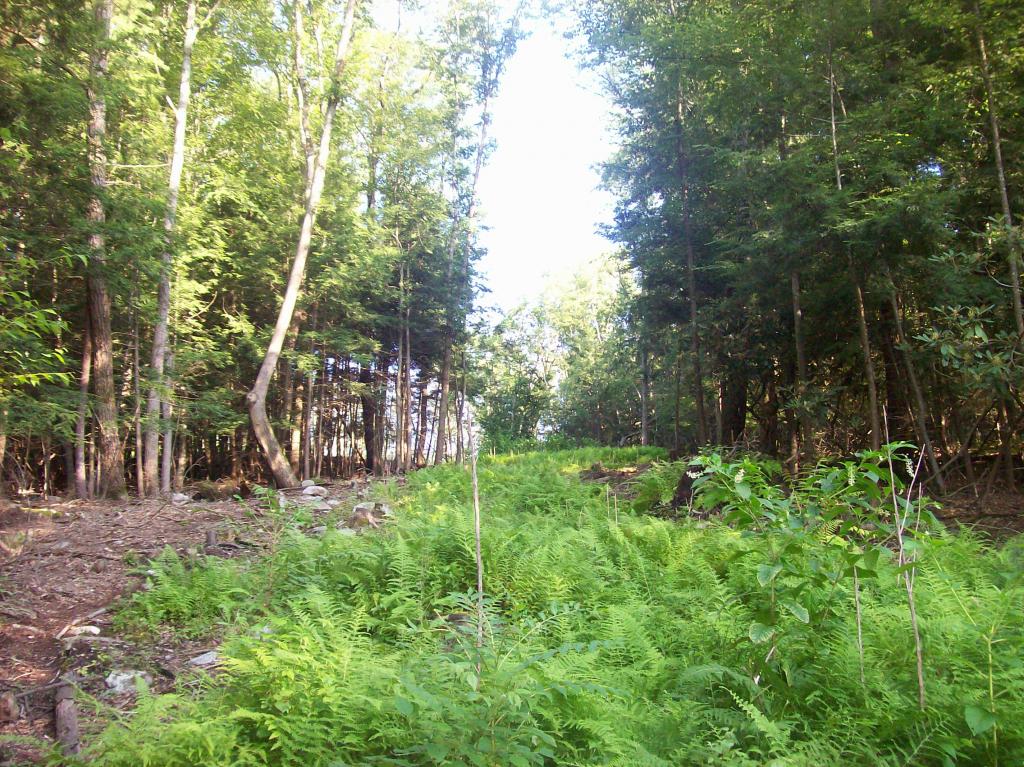 MLS #/Web ID: 2546550