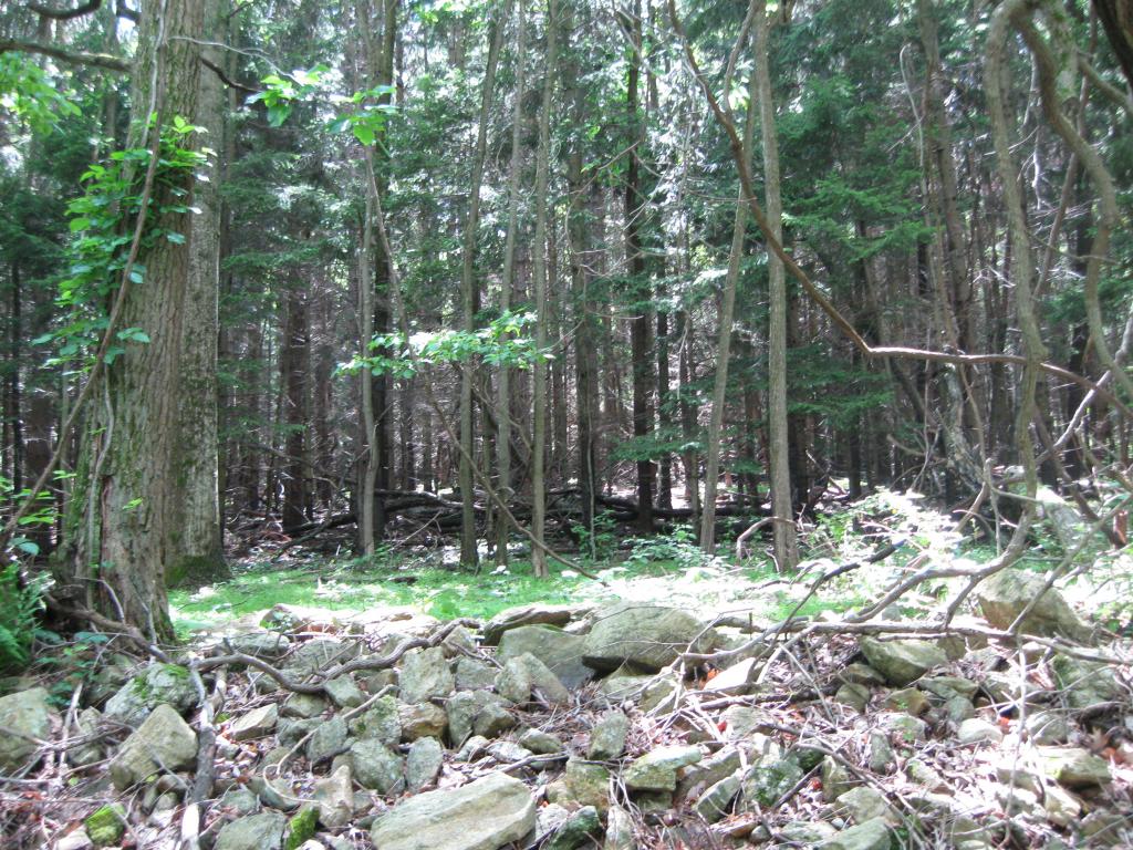 109 ANGEN RD