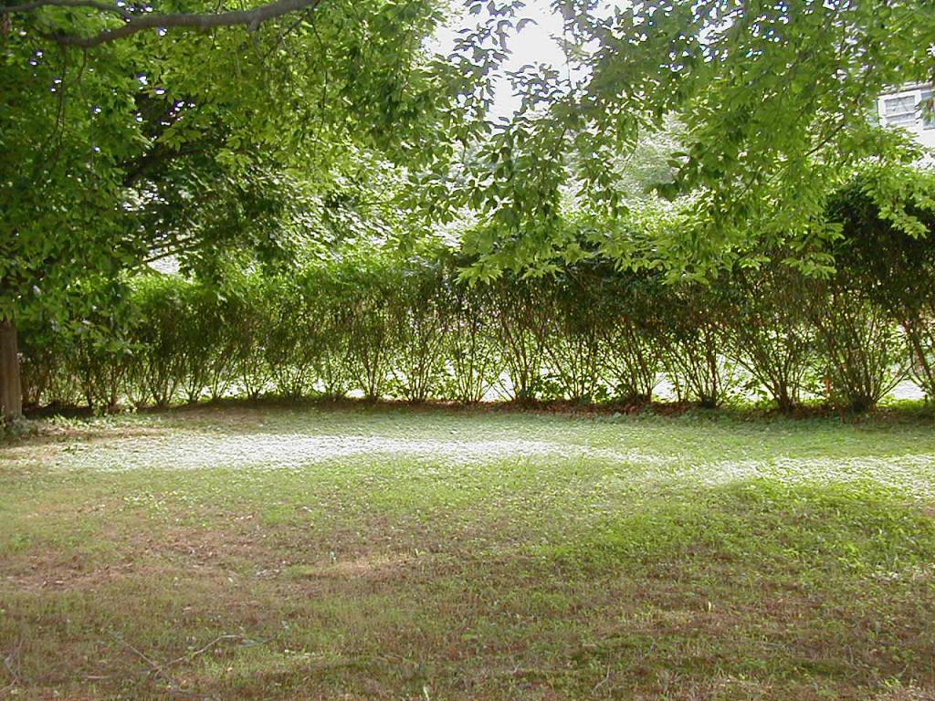 MLS #/Web ID: 2699350