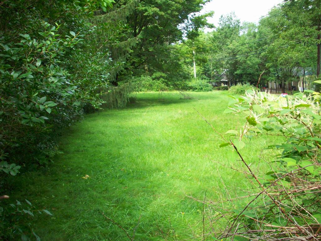 MLS #/Web ID: 2709350