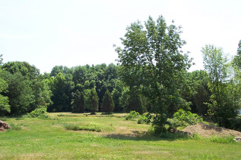 210 ALLAMUCHY RD