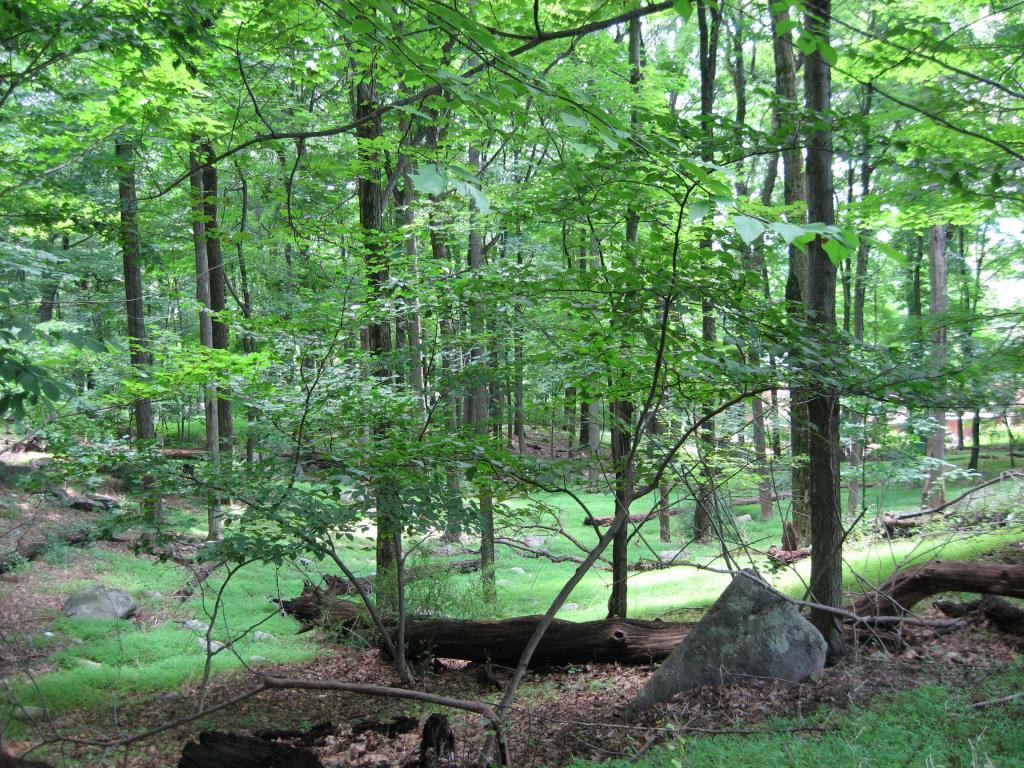 MLS #/Web ID: 2702951
