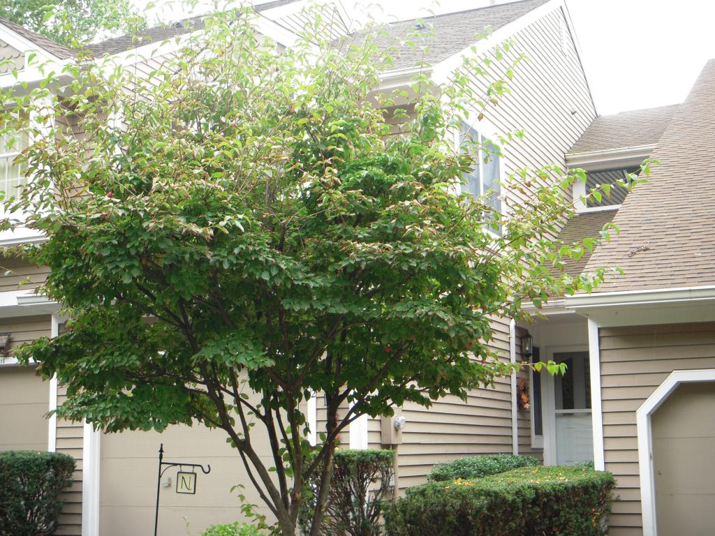 72 N EDGEWOOD RD