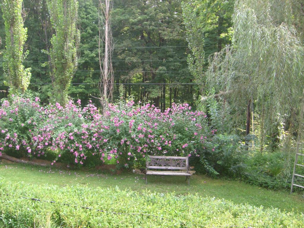 MLS #/Web ID: 2570153