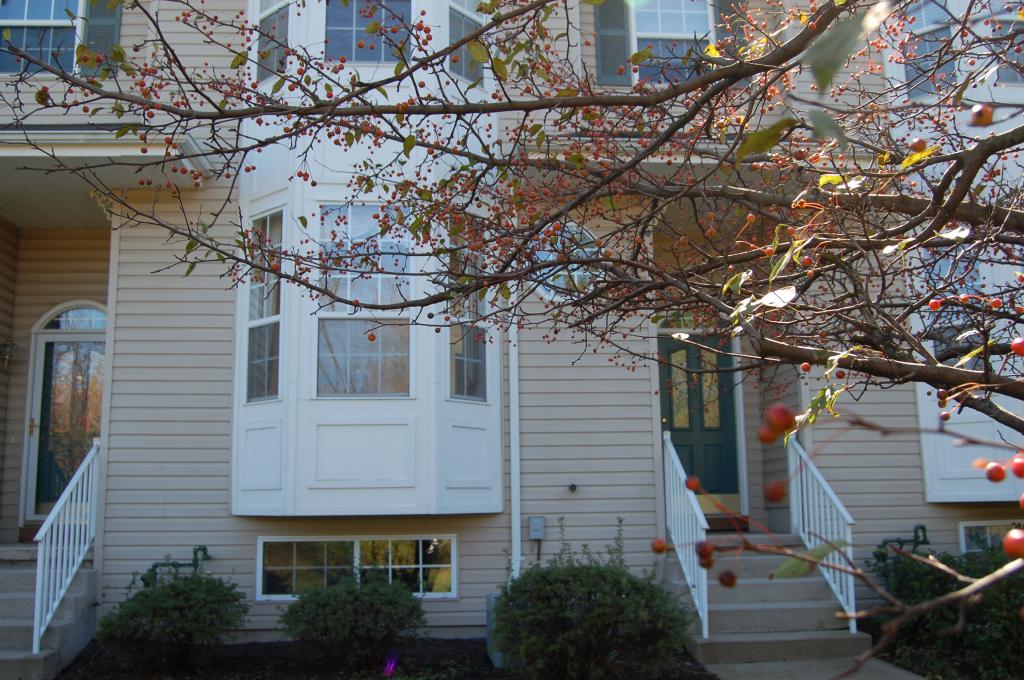 6 WINDHAM CT