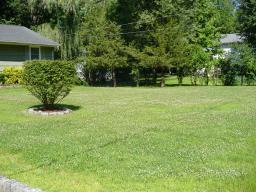 52 HEMLOCK AVE