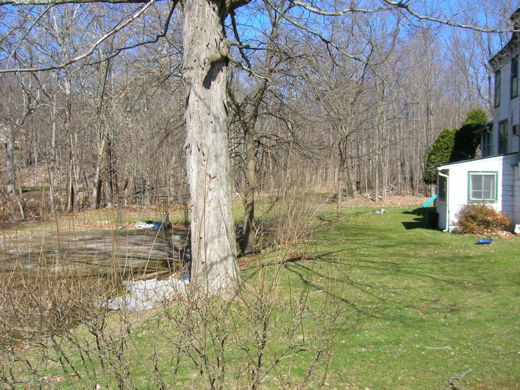 MLS #/Web ID: 2502054