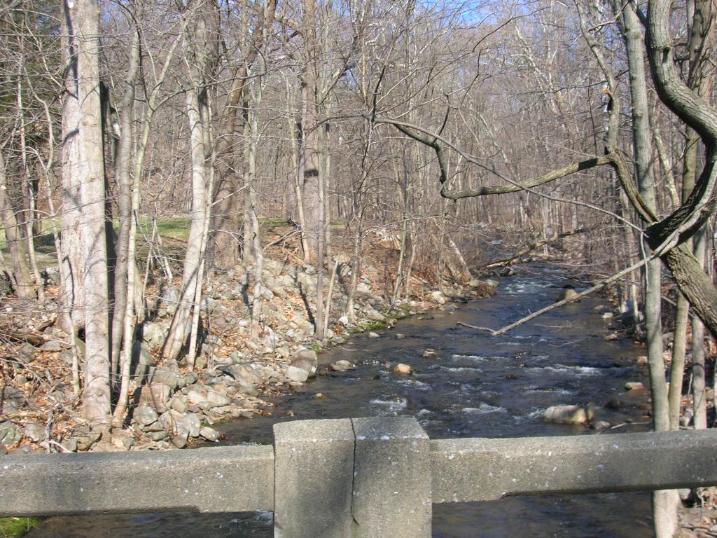 MLS #/Web ID: 2502054