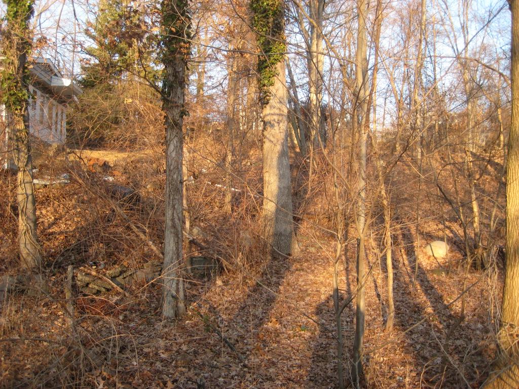 MLS #/Web ID: 2649454