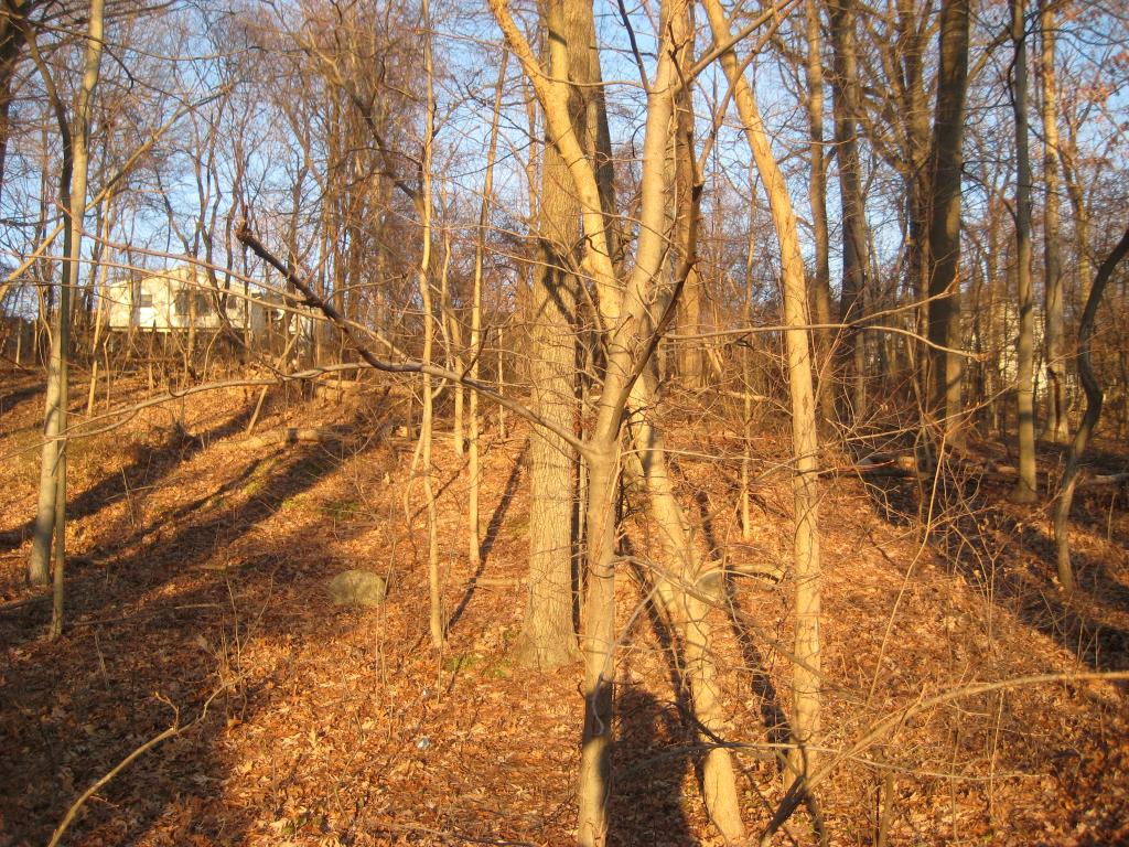 MLS #/Web ID: 2649454