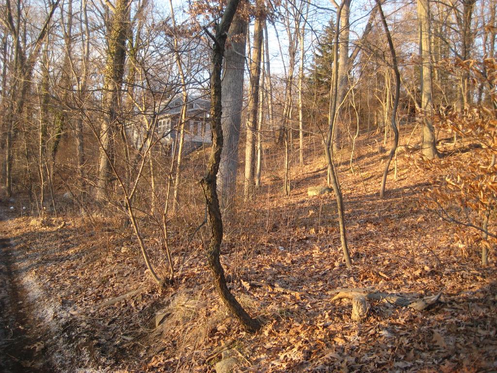 MLS #/Web ID: 2649454
