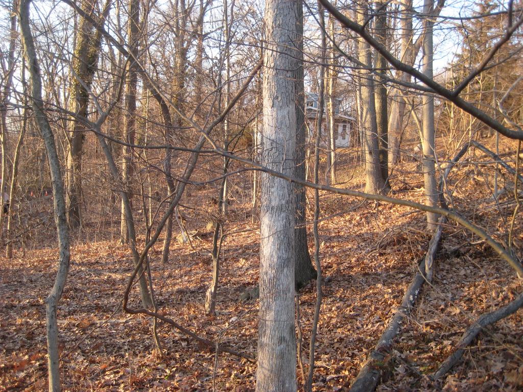 MLS #/Web ID: 2649454