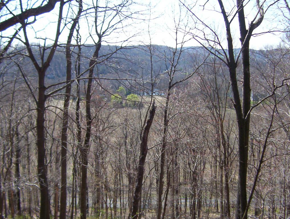 MLS #/Web ID: 2673354