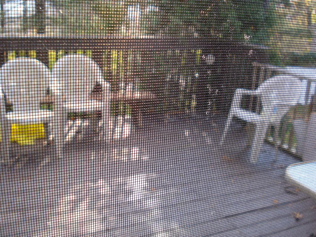 34 BUTTERNUT RD
