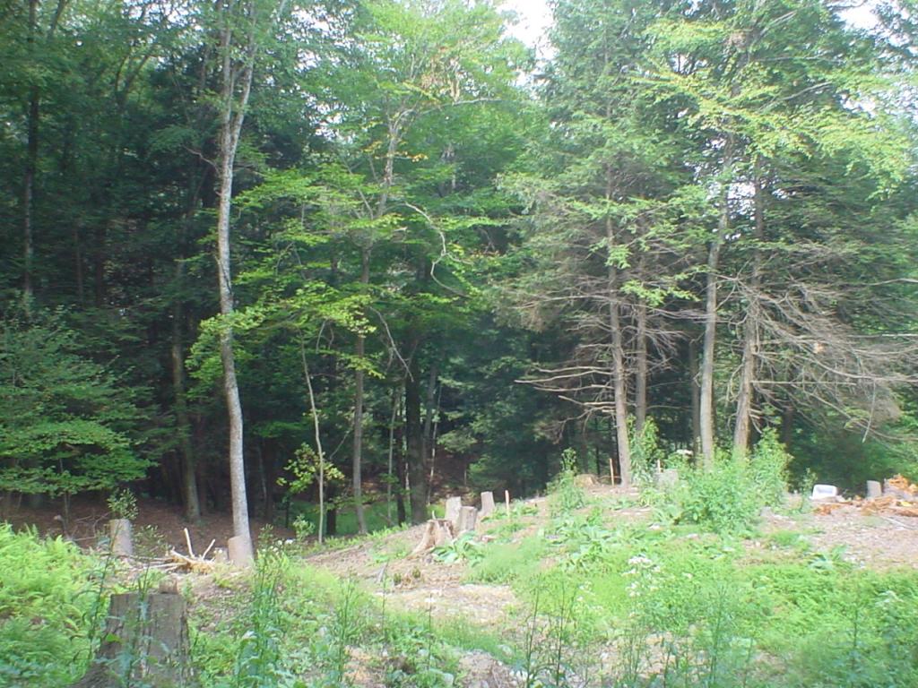 MLS #/Web ID: 2444455