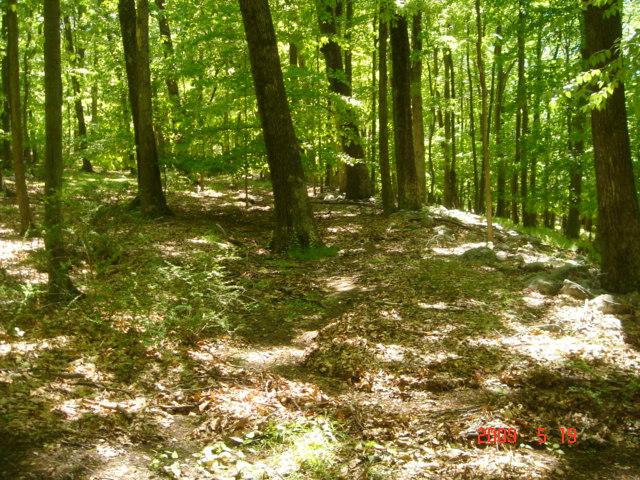 82 Mohican Rd