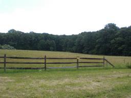 MLS #/Web ID: 2726055