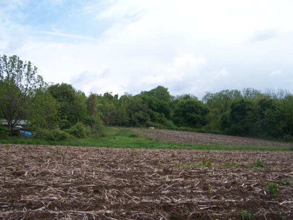 00 Rt31 Buffalo Hollow Rd