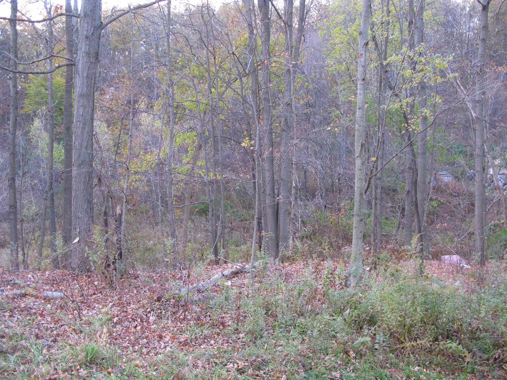 191B ROUTE 206