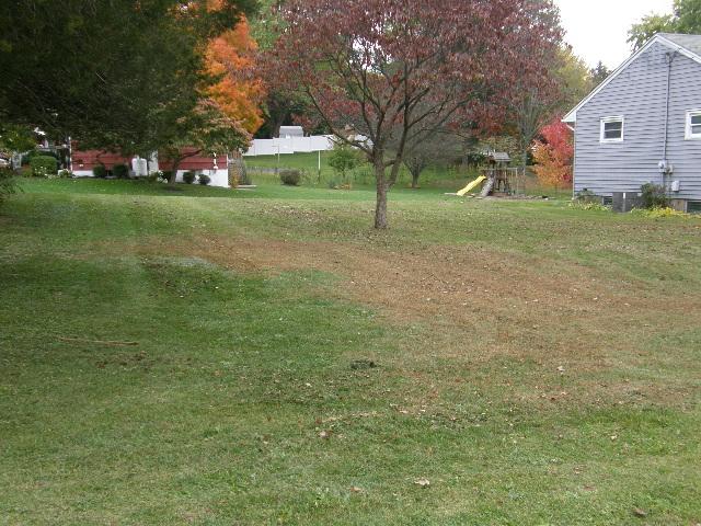 MLS #/Web ID: 2595556