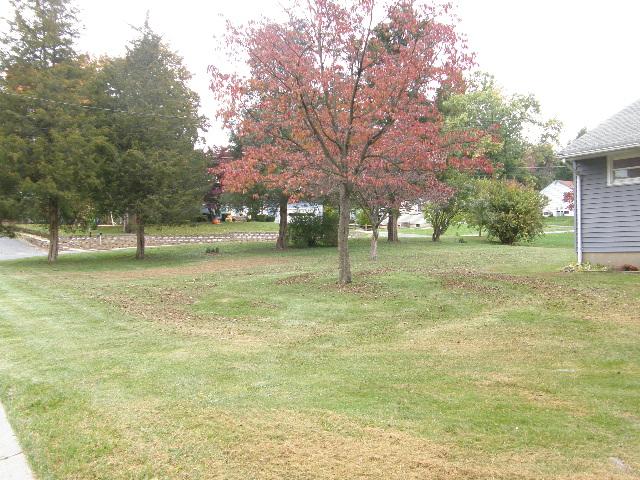 MLS #/Web ID: 2595556