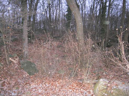 223 WHITE MEADOW RD