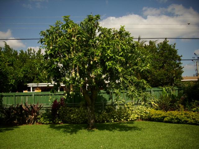 MLS #/Web ID: 2681656