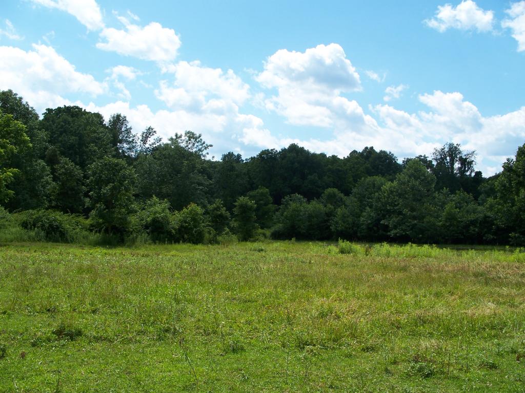 MLS #/Web ID: 2696656