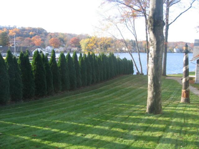 MLS #/Web ID: 2724856