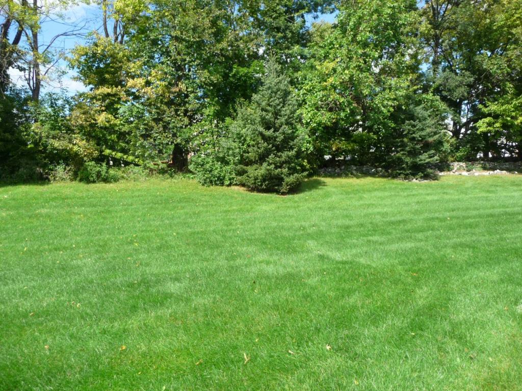 MLS #/Web ID: 2713657
