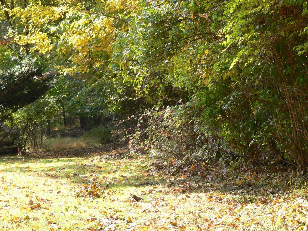 48 HILLCREST BLVD
