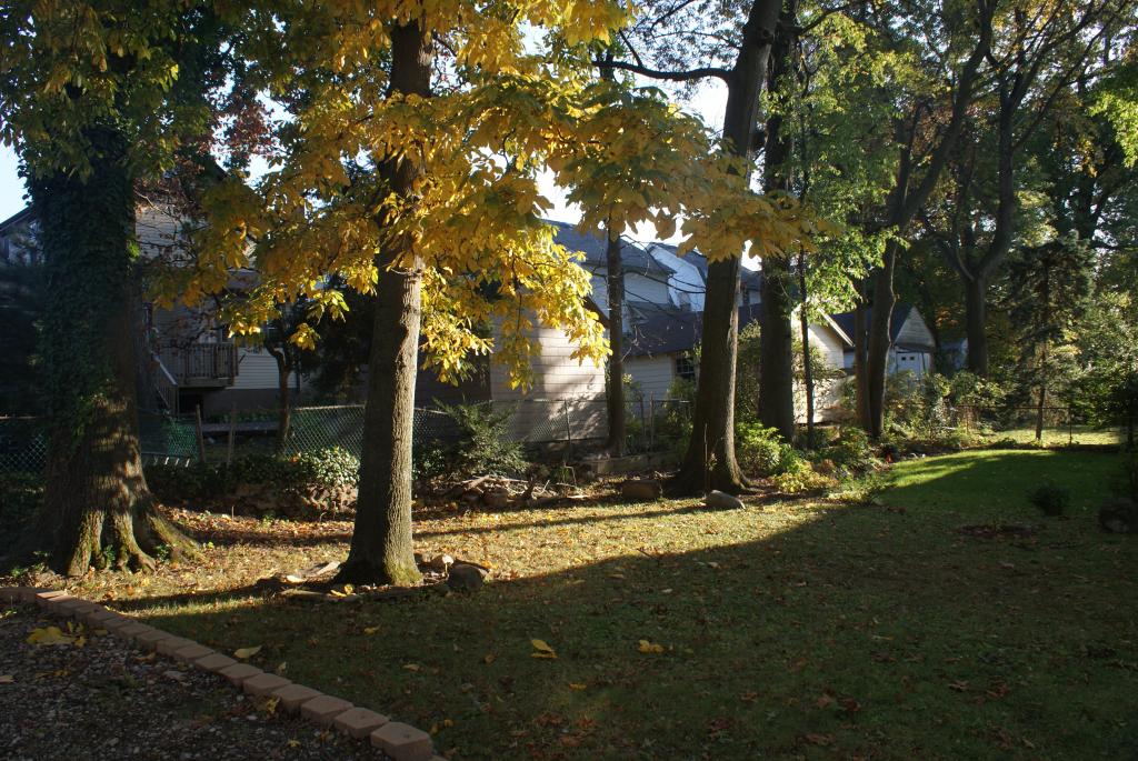 MLS #/Web ID: 2722758