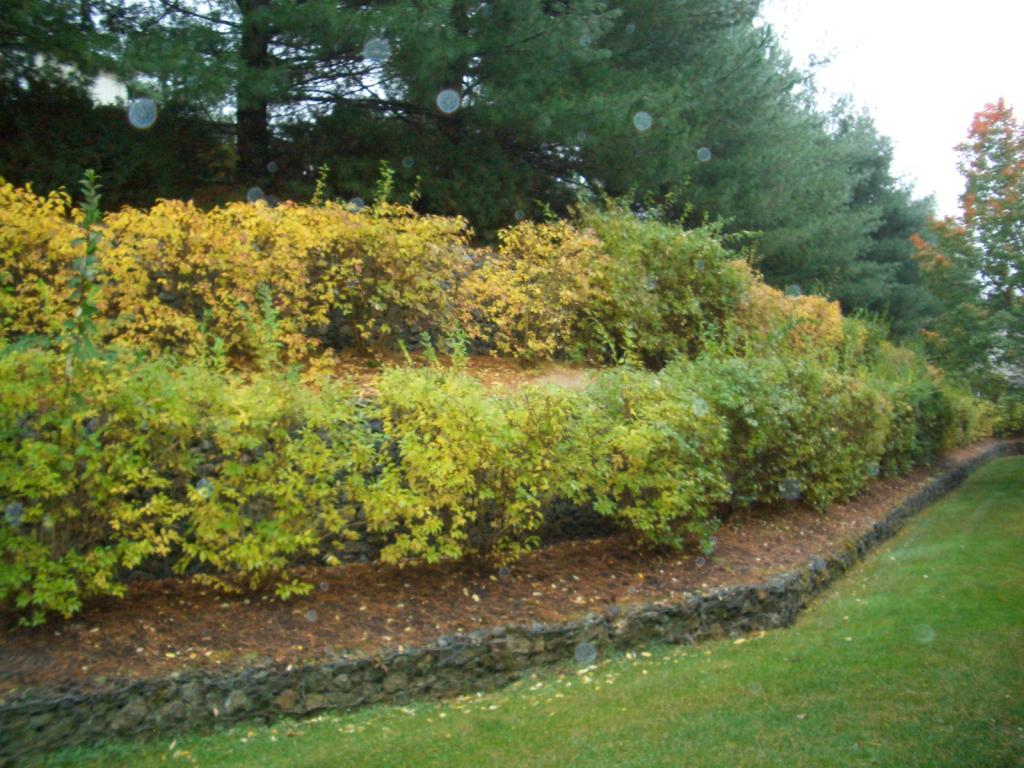 MLS #/Web ID: 2724258