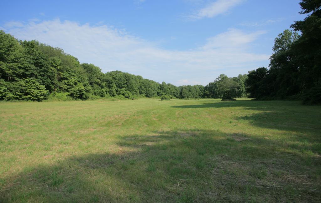 MLS #/Web ID: 2541659