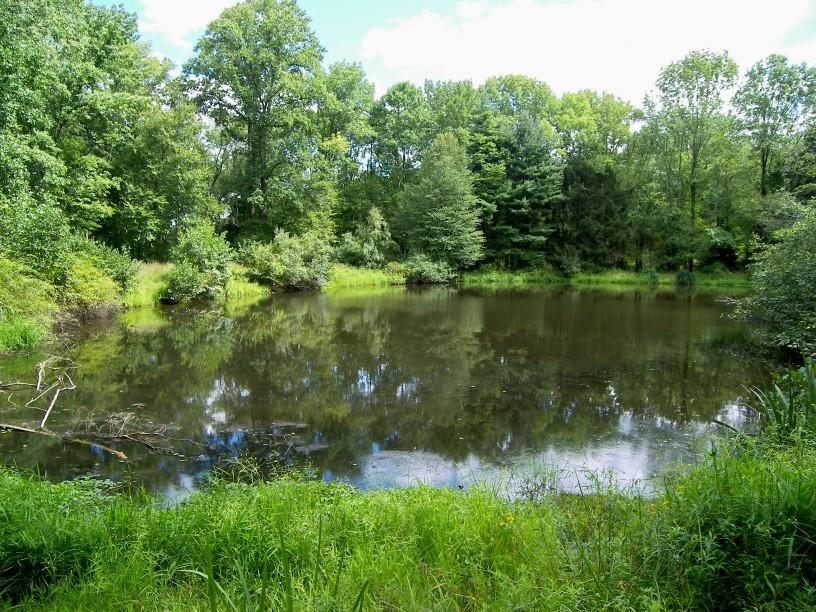 1116 Califon-Cokesbury Rd