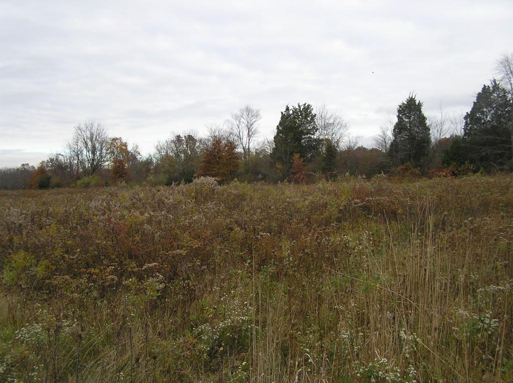 58 GULICK RD