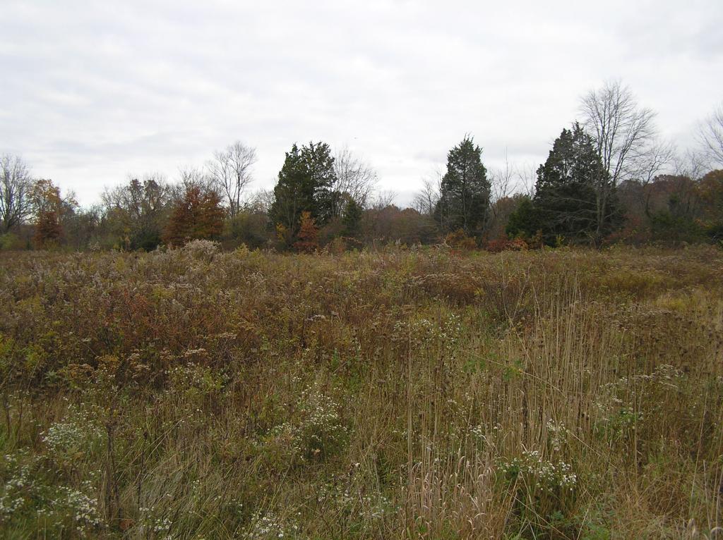 58 GULICK RD