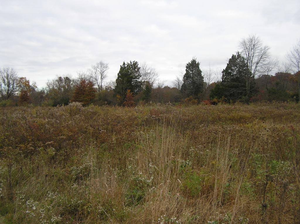 58 GULICK RD
