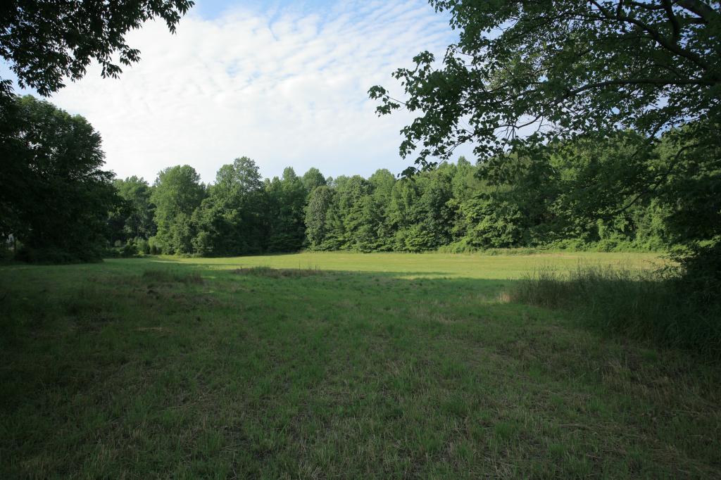 MLS #/Web ID: 2541660