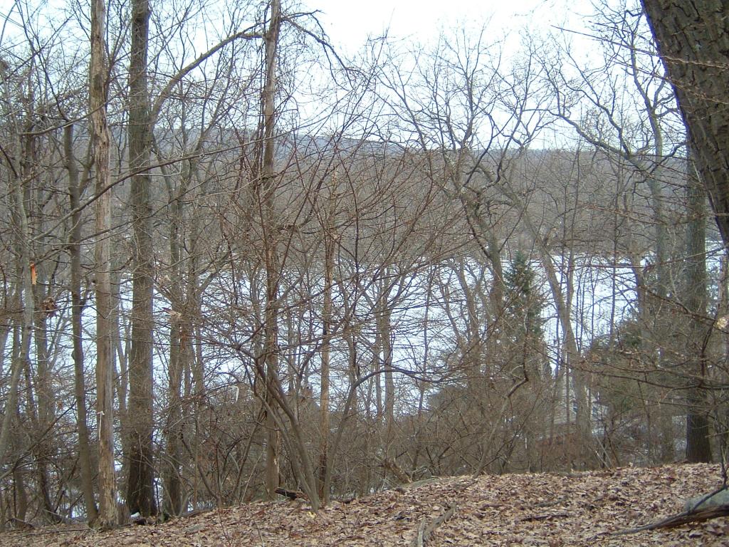 332 CUPSAW DR