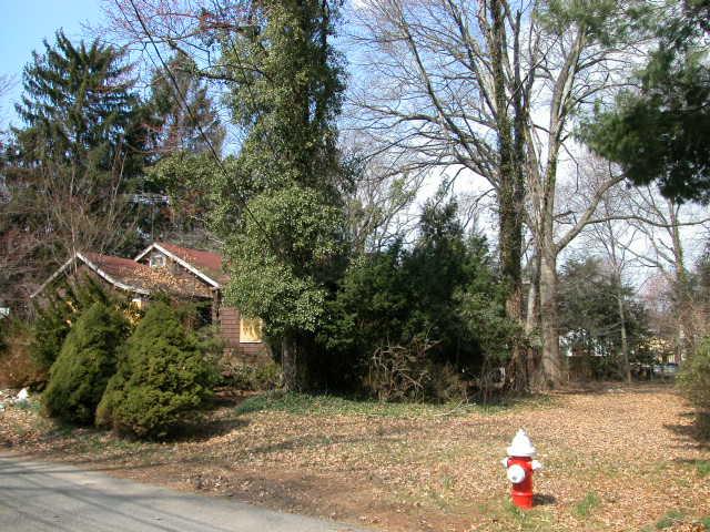 36 LINDEN AVE