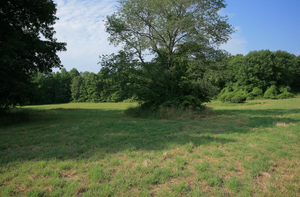 MLS #/Web ID: 2541661