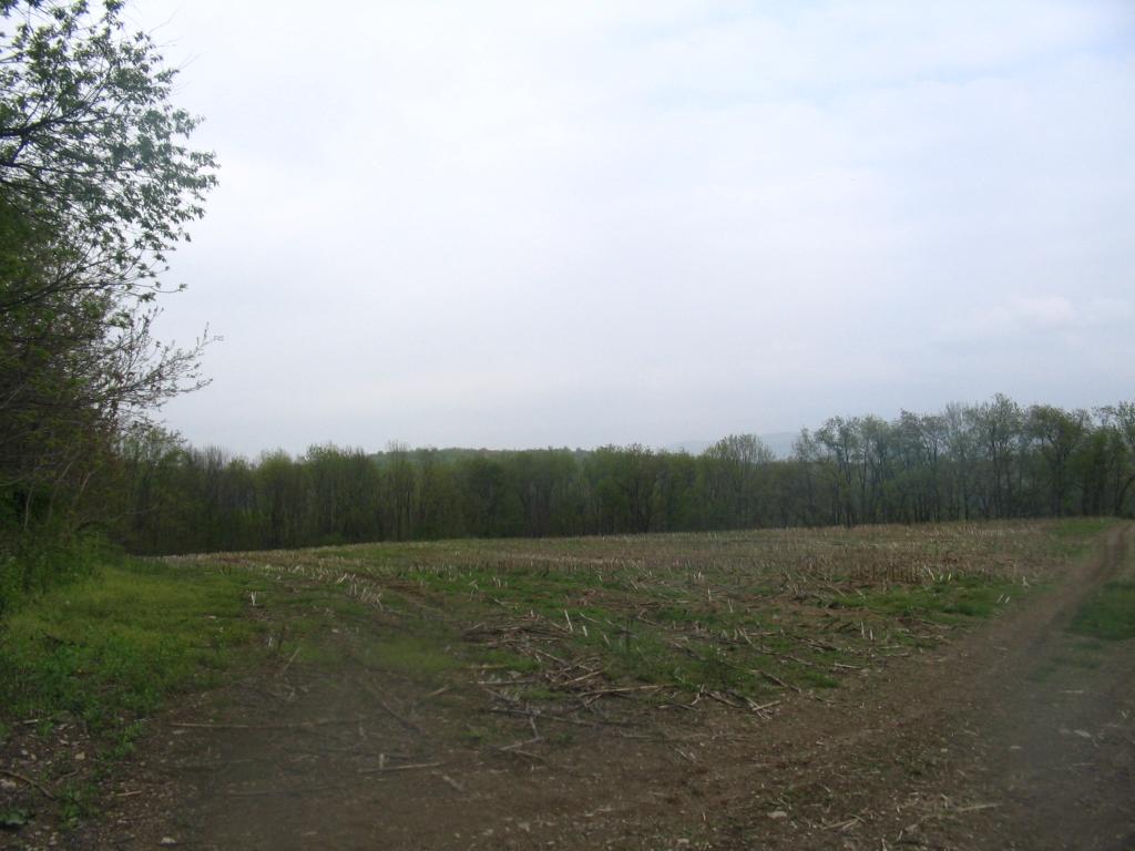 000 LAYTON ROAD